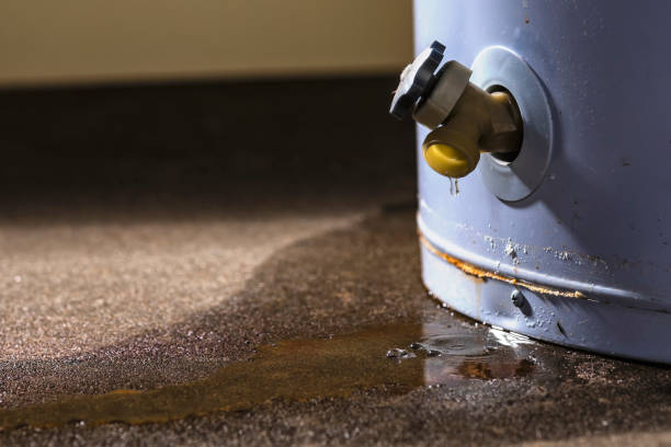 Best 24/7 water damage repair  in South Yarmouth, MA