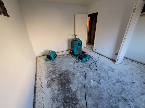 Best Water damage restoration specialists  in South Yarmouth, MA