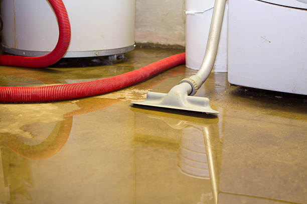 Best Water damage restoration near me  in South Yarmouth, MA